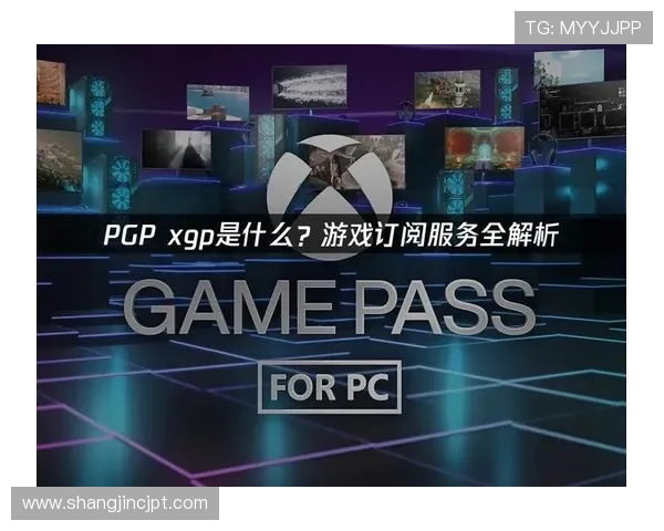 PG娱乐电子麻将游戏官网为玩家提供多样化的游戏模式和优质的客户服务，打造极致娱乐体验