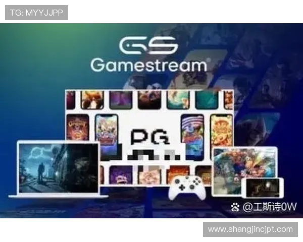 如何快速找到最新的pg电子官网入口地址，确保游戏安全顺利进行的实用指南